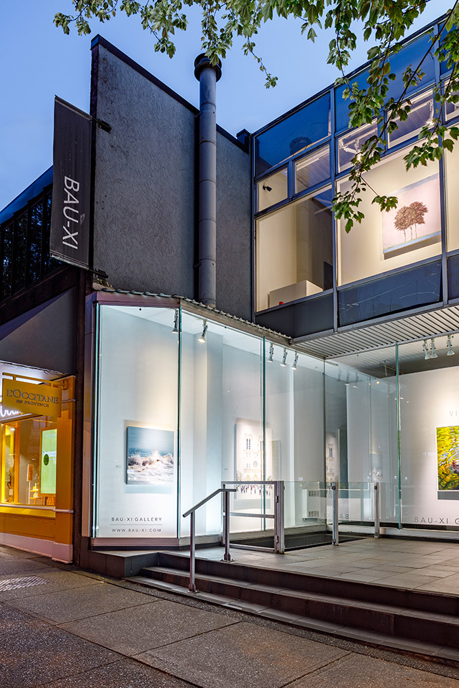 South Granville Neighbourhood Image